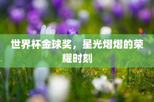 世界杯金球奖，星光熠熠的荣耀时刻