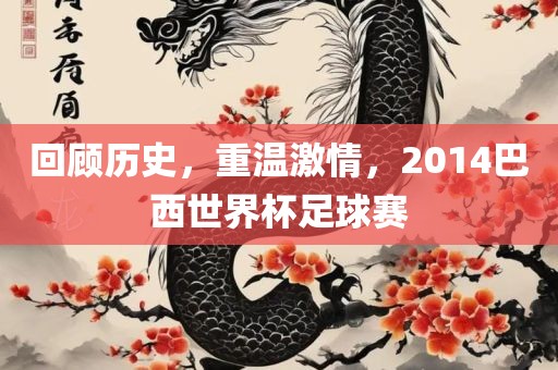 回顾历史，重温激情，2014巴西世界杯足球赛