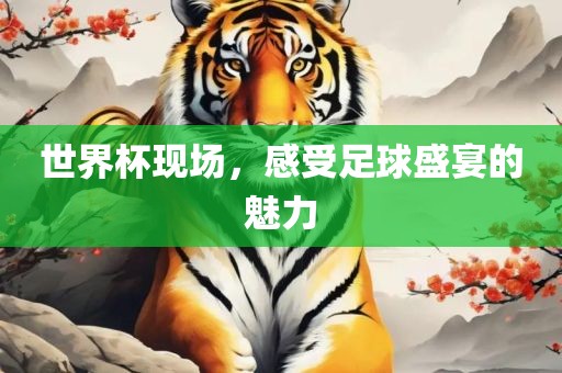 世界杯现场，感受足球盛宴的魅力