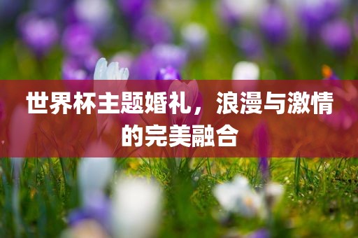 世界杯主题婚礼，浪漫与激情的完美融合