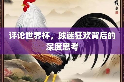 评论世界杯，球迷狂欢背后的深度思考
