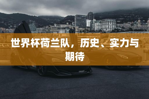 世界杯荷兰队，历史、实力与期待