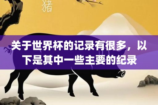 关于世界杯的记录有很多，以下是其中一些主要的纪录