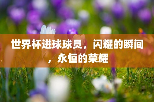 世界杯进球球员，闪耀的瞬间，永恒的荣耀