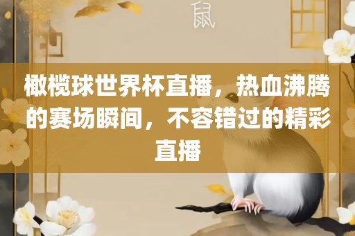 橄榄球世界杯直播，热血沸腾的赛场瞬间，不容错过的精彩直播