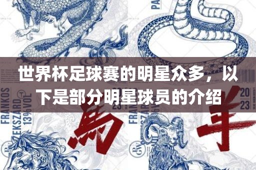世界杯足球赛的明星众多，以下是部分明星球员的介绍