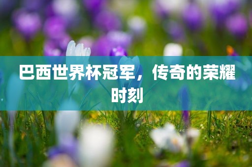 巴西世界杯冠军，传奇的荣耀时刻