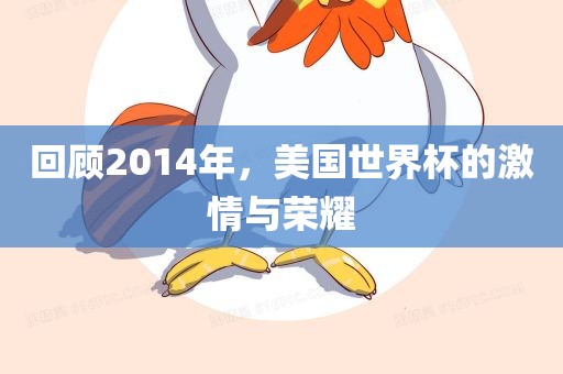 回顾2014年，美国世界杯的激情与荣耀