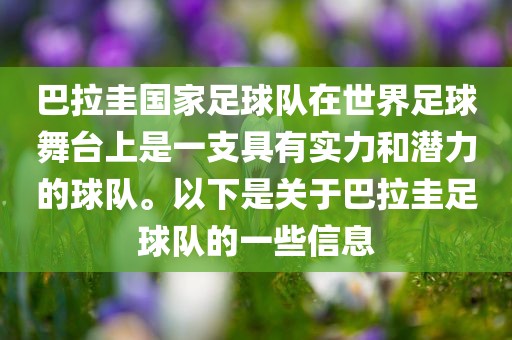巴拉圭国家足球队在世界足球舞台上是一支具有实力和潜力的球队。以下是关于巴拉圭足球队的一些信息