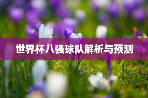 世界杯八强球队解析与预测