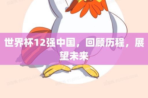 世界杯12强中国，回顾历程，展望未来