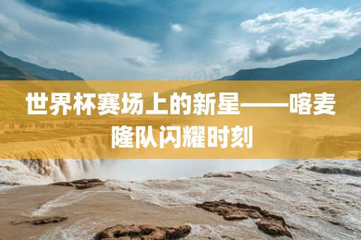世界杯赛场上的新星——喀麦隆队闪耀时刻