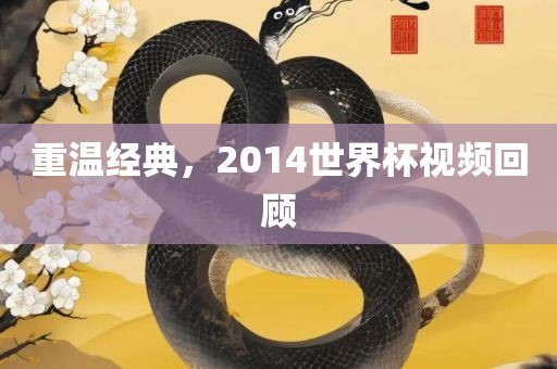 重温经典，2014世界杯视频回顾