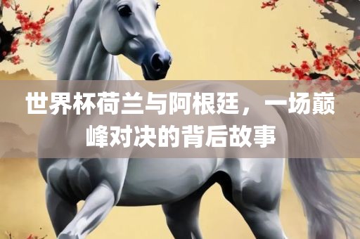 世界杯荷兰与阿根廷，一场巅峰对决的背后故事