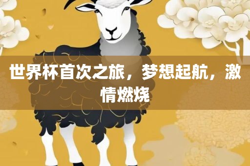 世界杯首次之旅，梦想起航，激情燃烧