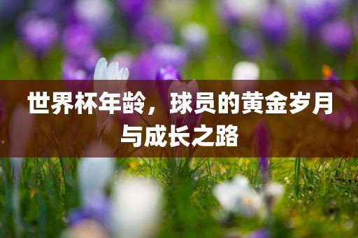 世界杯年龄，球员的黄金岁月与成长之路
