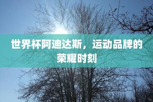 世界杯阿迪达斯，运动品牌的荣耀时刻