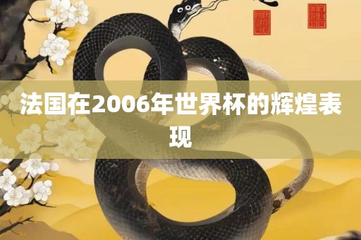 法国在2006年世界杯的辉煌表现