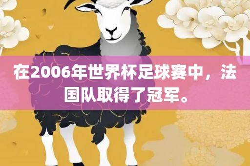 在2006年世界杯足球赛中，法国队取得了冠军。