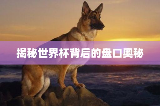 揭秘世界杯背后的盘口奥秘