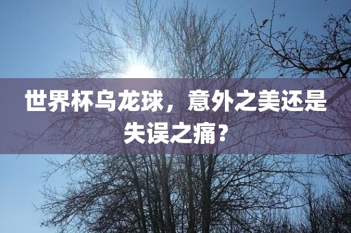 世界杯乌龙球，意外之美还是失误之痛？