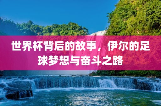 世界杯背后的故事，伊尔的足球梦想与奋斗之路