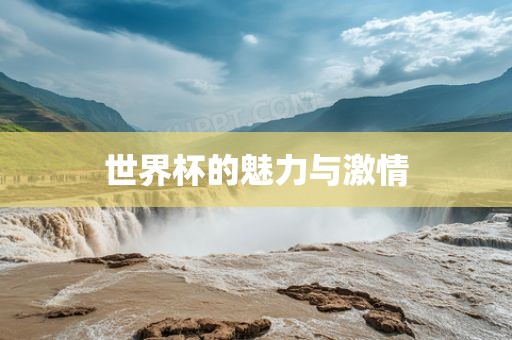 世界杯的魅力与激情