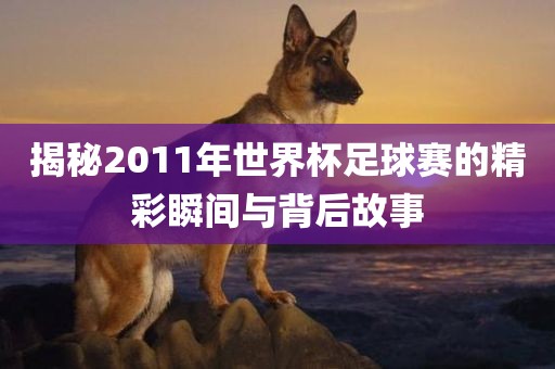 揭秘2011年世界杯足球赛的精彩瞬间与背后故事