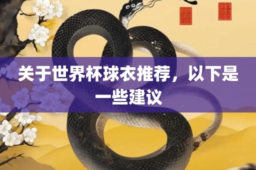 关于世界杯球衣推荐，以下是一些建议