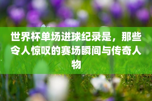 世界杯单场进球纪录是，那些令人惊叹的赛场瞬间与传奇人物