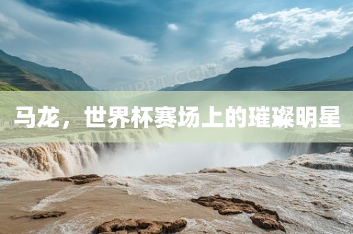 马龙，世界杯赛场上的璀璨明星