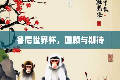 鲁尼世界杯，回顾与期待