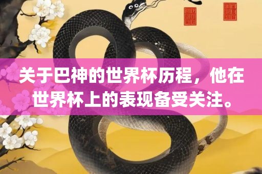 关于巴神的世界杯历程，他在世界杯上的表现备受关注。