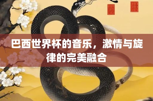 巴西世界杯的音乐，激情与旋律的完美融合