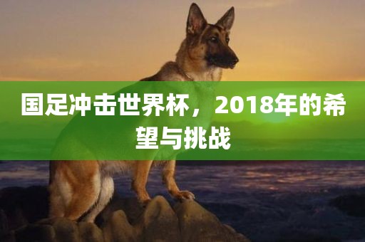 国足冲击世界杯，2018年的希望与挑战