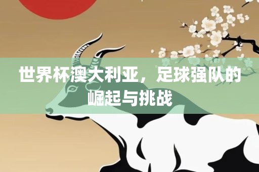 世界杯澳大利亚，足球强队的崛起与挑战