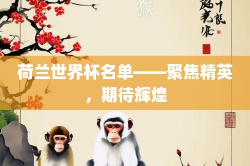 荷兰世界杯名单——聚焦精英，期待辉煌
