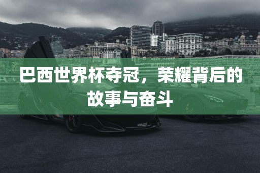 巴西世界杯夺冠，荣耀背后的故事与奋斗