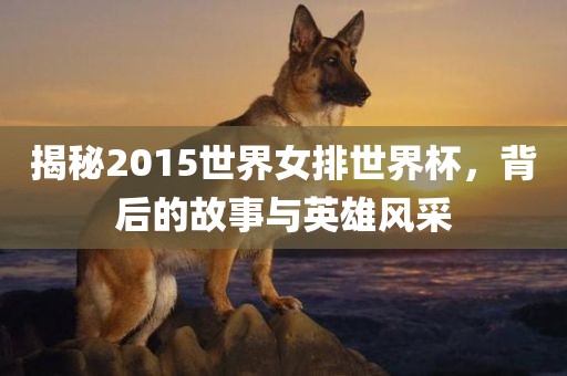揭秘2015世界女排世界杯，背后的故事与英雄风采