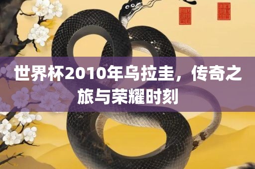 世界杯2010年乌拉圭，传奇之旅与荣耀时刻