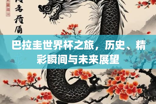 巴拉圭世界杯之旅，历史、精彩瞬间与未来展望