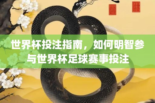 世界杯投注指南，如何明智参与世界杯足球赛事投注