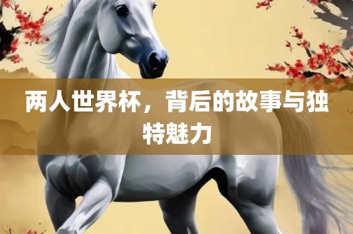 两人世界杯，背后的故事与独特魅力