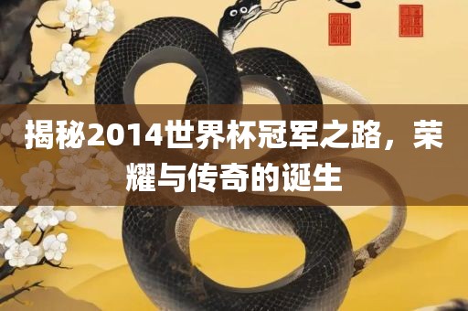 揭秘2014世界杯冠军之路，荣耀与传奇的诞生