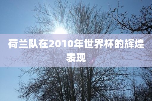 荷兰队在2010年世界杯的辉煌表现