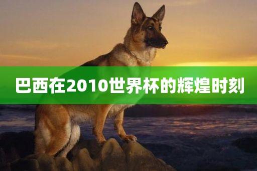 巴西在2010世界杯的辉煌时刻