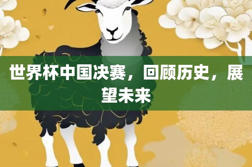世界杯中国决赛，回顾历史，展望未来