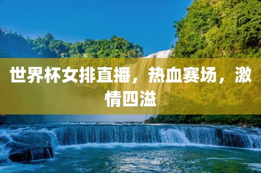 世界杯女排直播，热血赛场，激情四溢