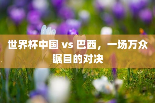 世界杯中国 vs 巴西，一场万众瞩目的对决