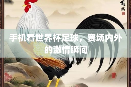 手机看世界杯足球，赛场内外的激情瞬间